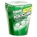 Ice Breakers Ice Cubes Spearmint Sugar Free Gum, 40-Count Pieces  (Pack of 8)