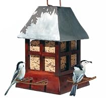 Birdscapes&reg; 50173 Paul Revere Feeder, 2.5 lb capacity