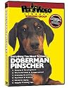 DOBERMAN PINSCHER DVD! Includes Dog & Puppy Training Bonus
