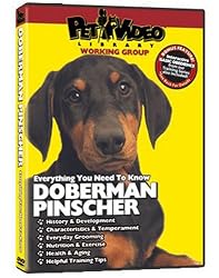 DOBERMAN PINSCHER DVD! Includes Dog & Puppy Training Bonus