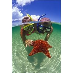 Poster 40 x 60 cm - "Two people snorkelling with starfish." von Greg Johnston / Lonely Planet Images - auch in anderen Gr��en und als Leinwandbild erh�ltlich
