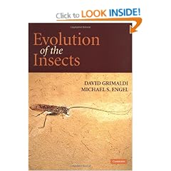 Evolution of the Insects
