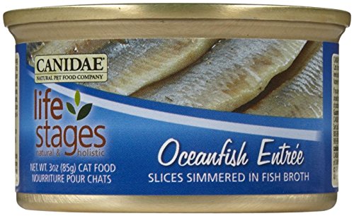 CANIDAE All Life Stages Cat Wet Food Ocean Fish Entrée, 3 oz (12-Pack)