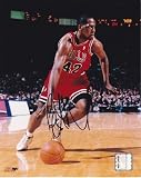 Elton Brand Autographed 8x10 Chicago Bulls Photo