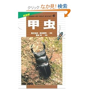 【クリックでお店のこの商品のページへ】甲虫 (新装版山溪フィールドブックス): 黒沢 良彦, 栗林 慧, 渡辺 泰明: 本