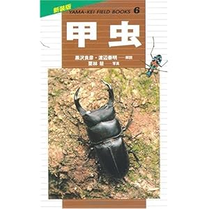 【クリックで詳細表示】甲虫 (新装版山溪フィールドブックス)： 黒沢 良彦， 栗林 慧， 渡辺 泰明： 本