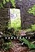 Substrate: Poems (Hardcover) by Jim A. Powell