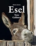 Greta Jansen - Esel