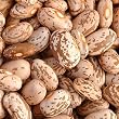 Pinto Beans Organic By ChefShop