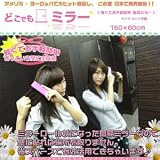 2枚セット！お手軽カンタン貼るだけOK！省スペースで経済的☆　どこでもミラー