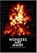 Wonders Are Many