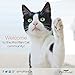 Purina Pro Plan SAVOR Tuna & Rice Formula Adult Dry Cat Food - 3.5 lb. Bag