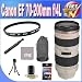51Xv3OyUWqL. SL75  Canon EF S 55 250mm f/4 5.6 IS Telephoto Zoom Lens
