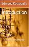 SAP BPC 10.0 SIMPLIFIED: Introduction