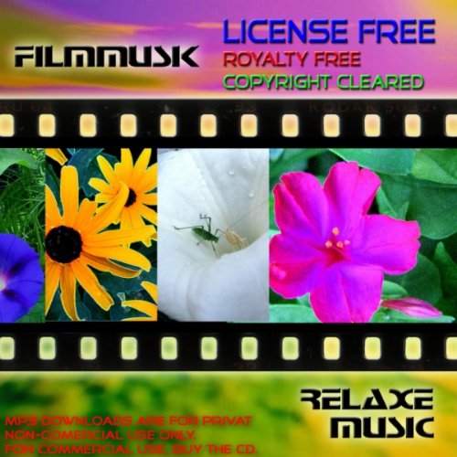 terra MP3 downloads are for privat non-commercial use only. For commercial use, buy CD.