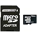 Dane-Elec 16 GB Class 2 microSDHC Flash Memory Card with SD Adapter DA-2IN1-16G-R
