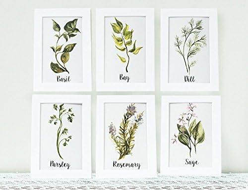 Handmade Art Print Six Watercolor Herbs Kitchen Art Print Collection