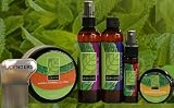 Licenders Head Lice Treatment Kit