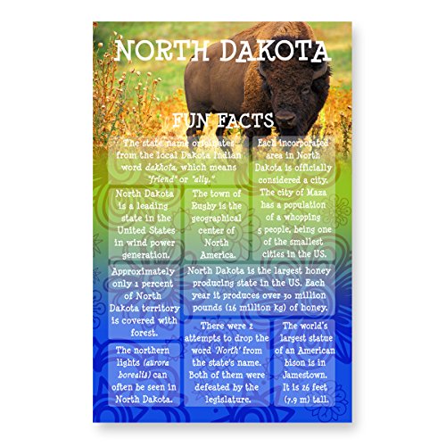 NORTH DAKOTA FUN FACTS postcard set of 20 identical postcards. US state trivia post card pack