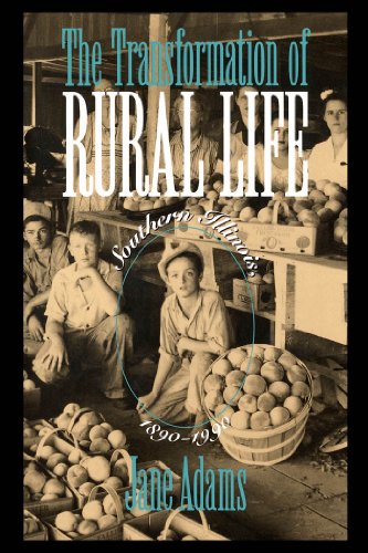 the transformation of rural life southern illinois 1890 1990 studies in rural culture