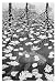 M.C. Escher (Three Worlds) White Wood-Mounted Art Poster Print - 22