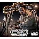Block Brochure: Welcome to the Soil 2