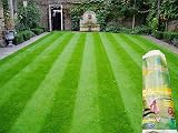 from MoBacter MO Bacter Organic Lawn Fertiliser