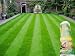 MO Bacter Organic Lawn Fertiliser