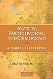 Poverty, participation, and democracy