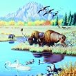Buffalo at the Pond 500pc Jigsaw Puzzle by Cynthie Fisher