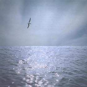 Clear Dream Day