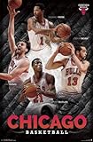 (22x34) Chicago Bulls - Collage 14 Poster