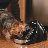Petmate Deluxe Fresh Flow Pet Fountain, Medium, Black