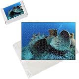 Photo Jigsaw Puzzle of Etruscan Amphora in a protected archaeological area on the sea bed in Antalya from Ardea Wildlife Pets