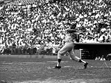 Los Angeles Dodgers Pitcher Sandy Koufax at Bat During a Game Against the Milwaukee Braves Artists Premium Photographic Poster Print by Robert W. Kelley, 18x24