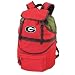 Georgia Bulldogs Zuma Insulated Backpack