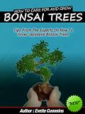 How To Grow And Care For Japanese Bonsai Trees -Tips From The Experts On How To Grow Japanese Bonsai Trees 