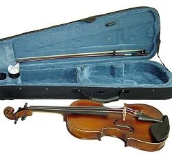 CSV-10 Full Size 4/4 Violin, Handmade, Golden Brown Varnish with Case and Accessories, Free Shipping