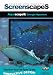 AquascapeS: Aquarium DVD (filmed in HD) -2 DISCS