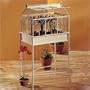 Small Gothic Conservatory