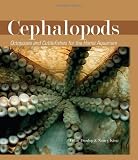 Cephalopods: Octopuses and Cuttlefish for the Home Aquarium