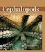 Cephalopods: Octopuses and Cuttlefish for the Home Aquarium