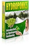 Intorduction To Hydroponics Gardening