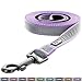 Pawtitas 6 FT Padded Dog Leash with Comfortable Neoprene Padding Handle - Purple Lead | Medium Reflective Dog Leash with Highly Reflective Band Perfect for Medium and Large Dogs and Puppies.