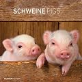 Schweine 2012. Brosch�renkalender 30 x 30 cm