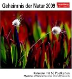 Geheimnis der Natur 2009: Kalender mit 53 heraustrennbaren Postkarten