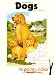 Dogs to Paint or Color (Dover Art Coloring Book) by John Green