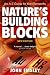 Nature's Building Blocks: An A-Z Guide to the Elements