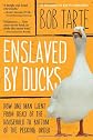 Enslaved by Ducks