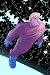 Untold Tales Of The New Universe TPB